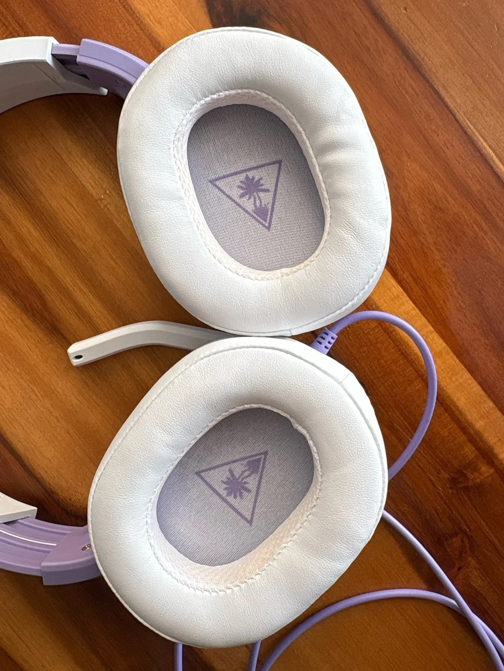 Turtle Beach brand turtle